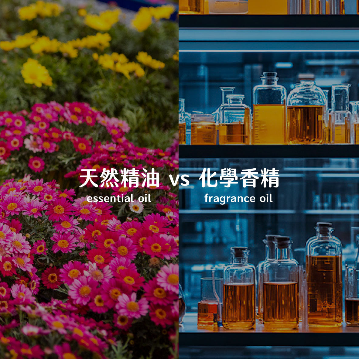 天然精油 vs 化學香精:全面剖析它們的分別